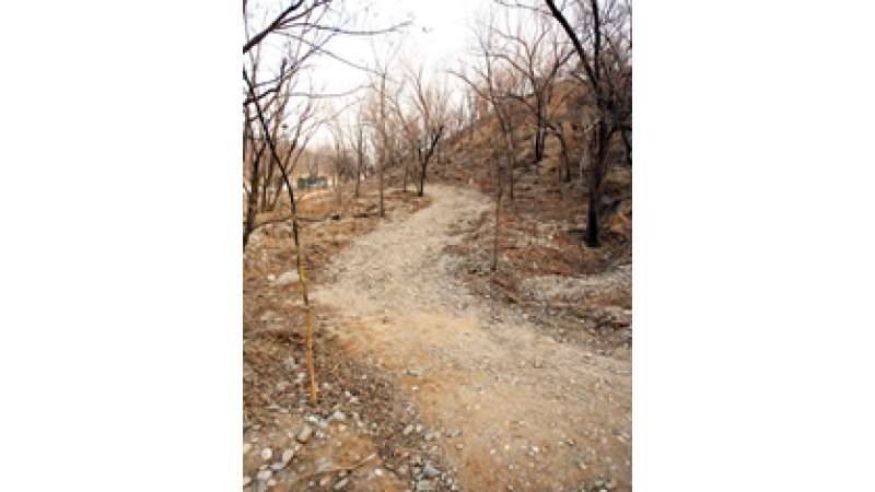 Laoshan Mountain Bike Course